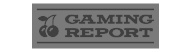 Gaming Report