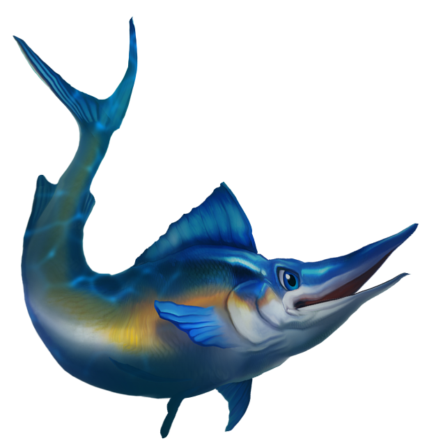 marlin image