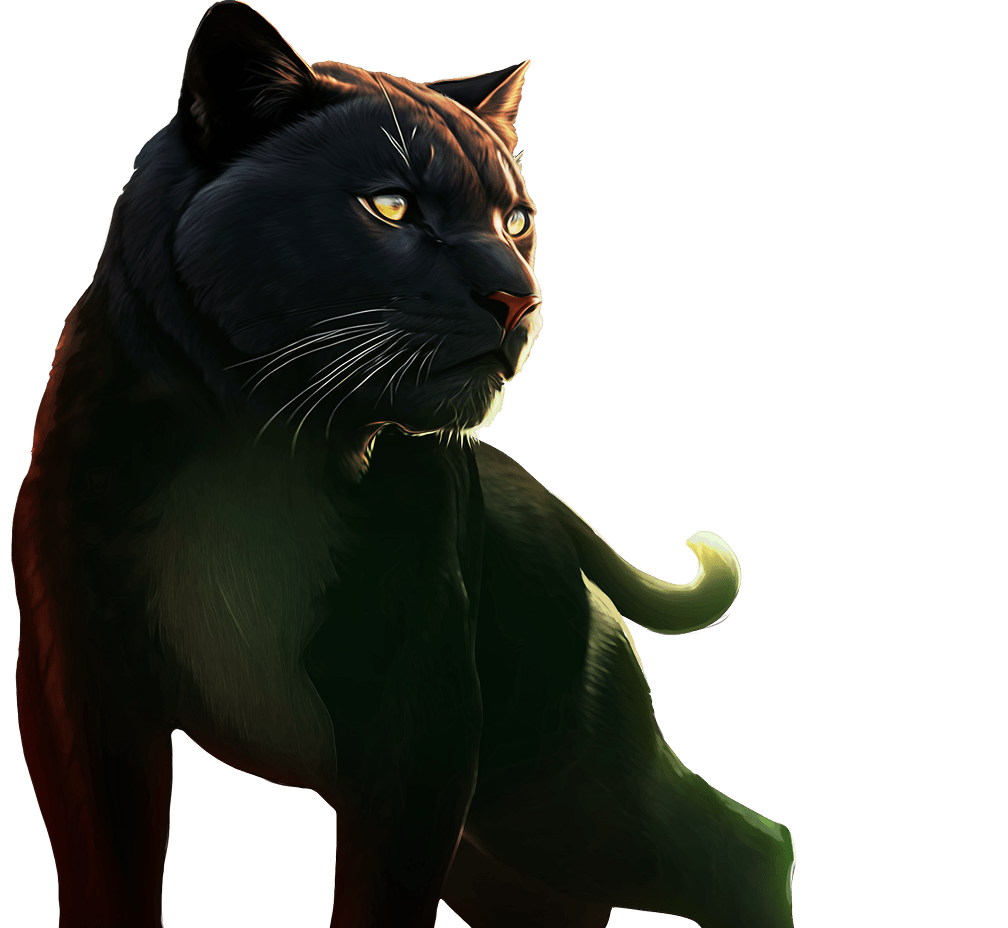 panther