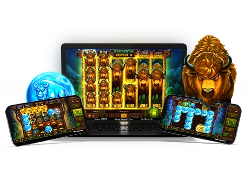 Sizzling Jungle slot