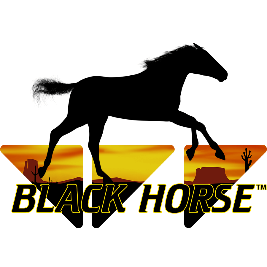 Игровые автоматы Black Horse. Казино лошадь. Белая лошадь казино. Казино с конями.