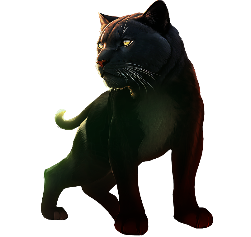 panther