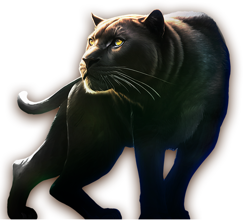 panther